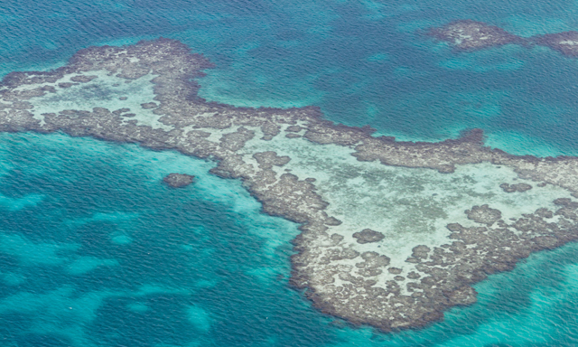 2 tank turneffe atoll scuba dive with equipment BE13 mosaic